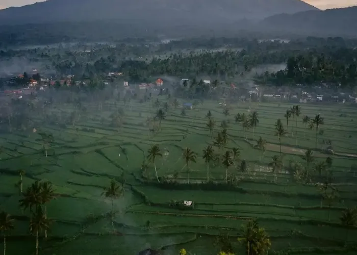 Villa Asvara Eco Bali Bamboo House *