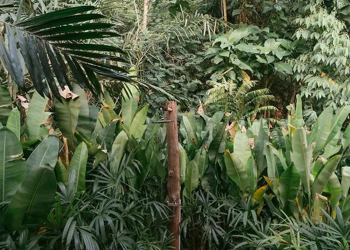 Asvara Eco Bali Bamboo House *